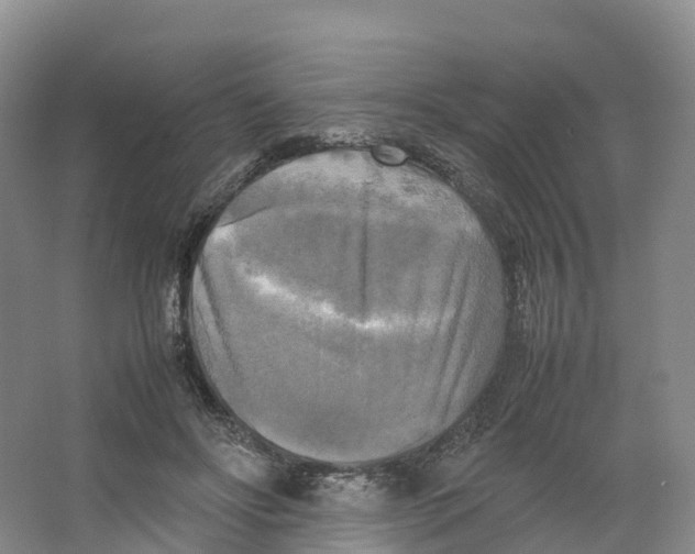 X0000064060502200602171740