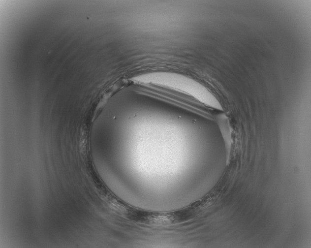 X0000064060513200602171740