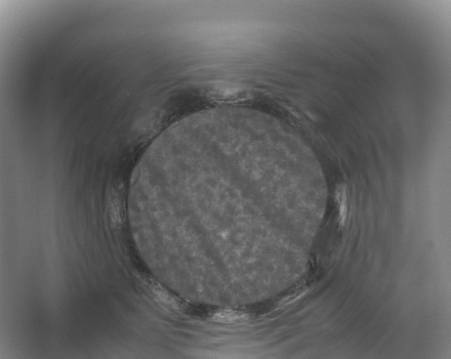 X0000064060515200602171740