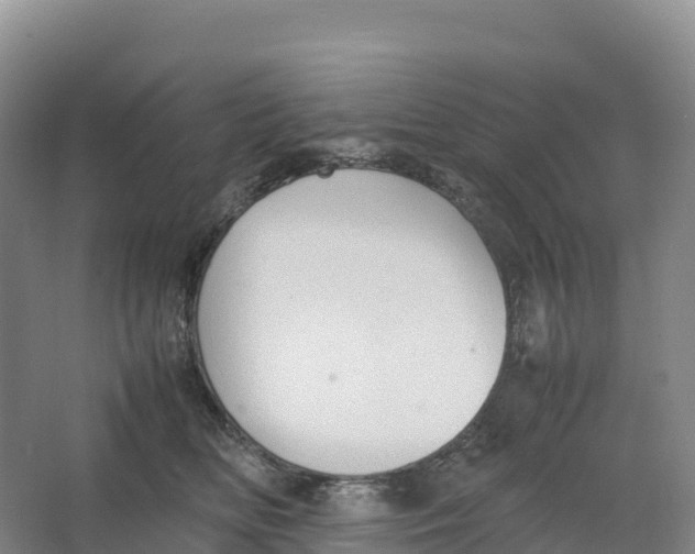 X0000064060518200602171740