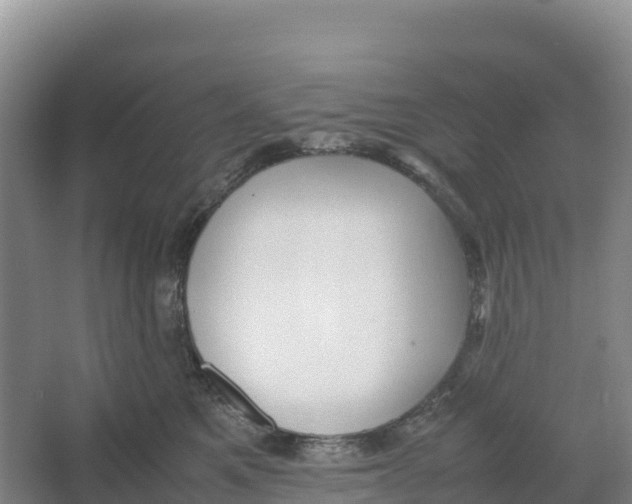 X0000064060521200602171740