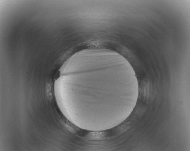 X0000064060526200602171740
