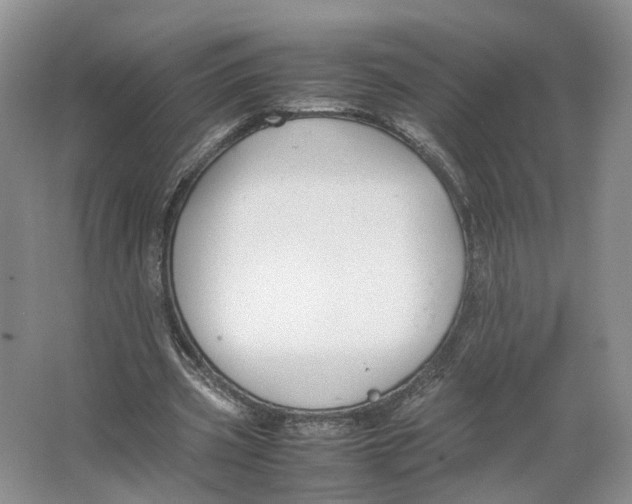 X0000064060533200602171739