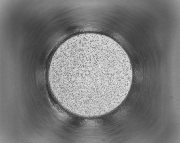 X0000064060534200602171739