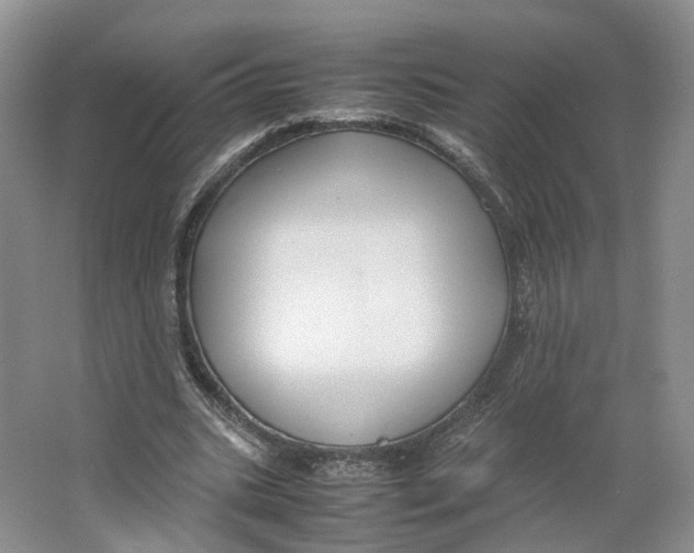 X0000064060535200602171739