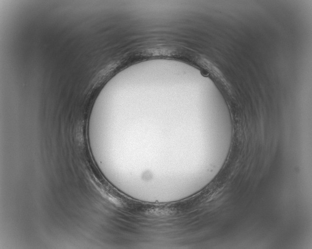 X0000064060537200602171739