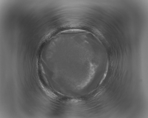 X0000064060542200602171739