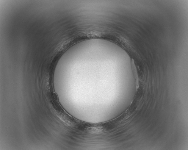 X0000064060548200602171739