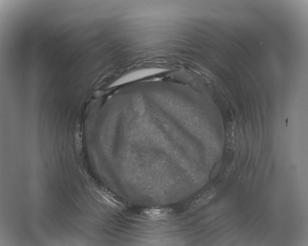 X0000064060558200602171739