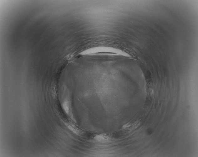 X0000064060568200602171740