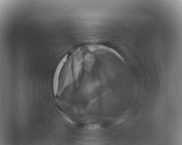 X0000064060576200602171740