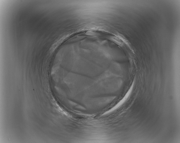 X0000064060577200602171739