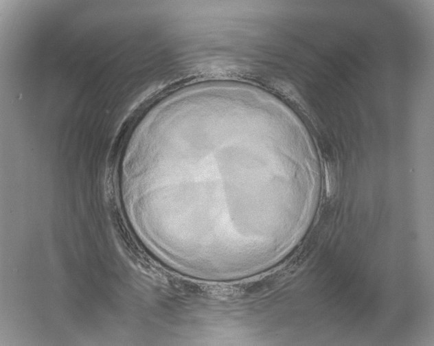 X0000064060579200602171739