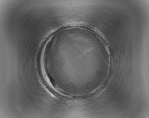 X0000064060581200602171739