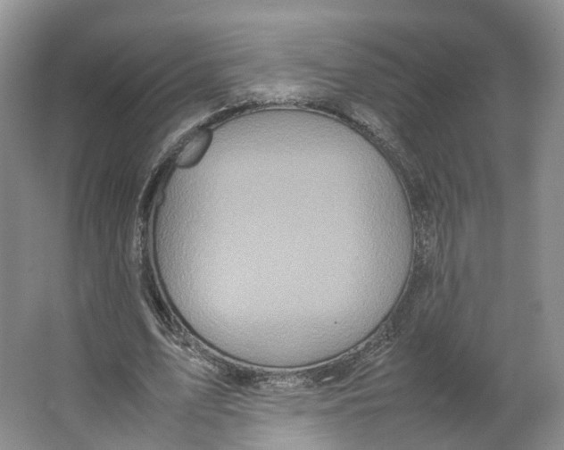 X0000064060583200602171739