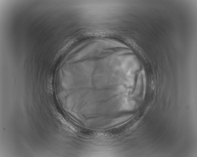 X0000064060585200602171739