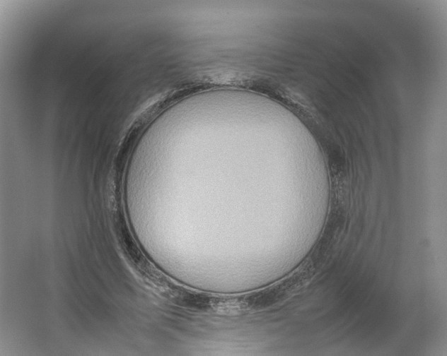 X0000064060587200602171739
