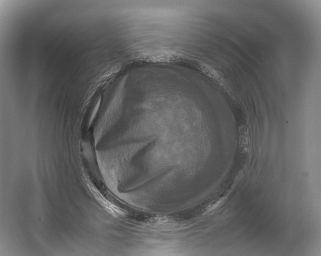 X0000064060589200602171739
