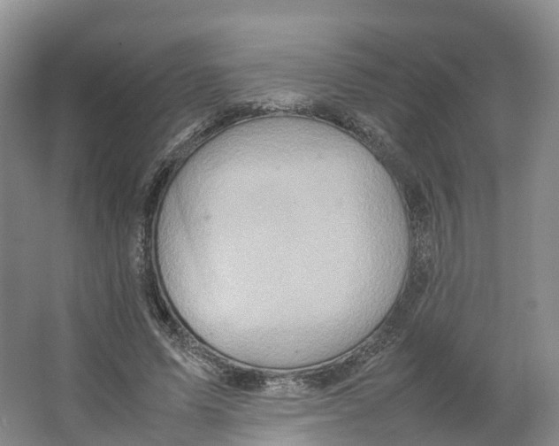 X0000064060591200602171739