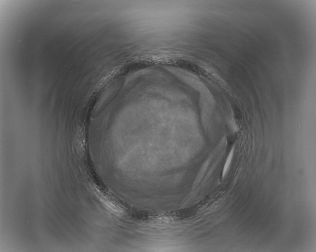 X0000064060593200602171739