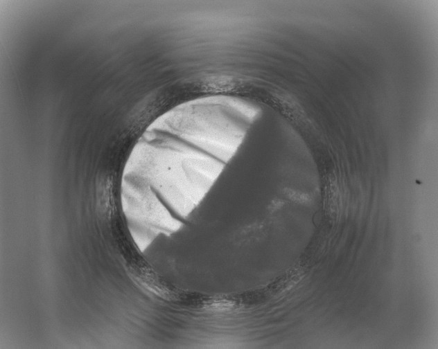 X0000064060598200602171739