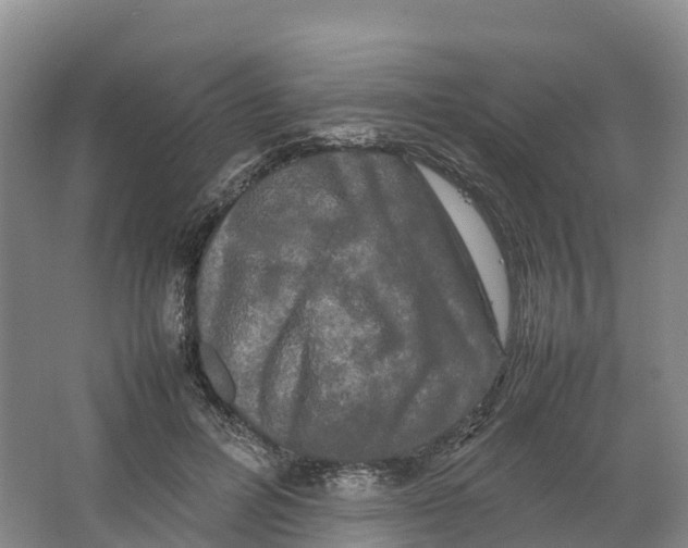 X0000064060600200602171739
