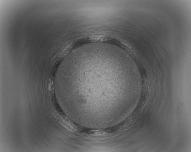 X0000064060601200602171739