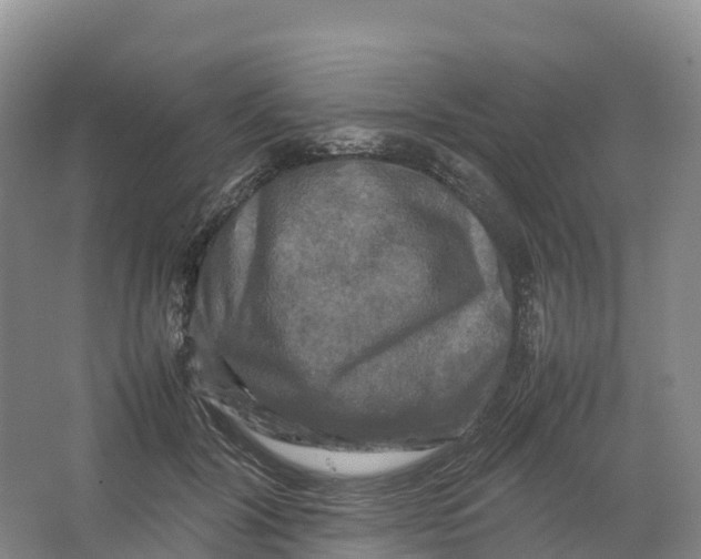 X0000064060604200602171739