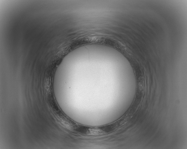 X0000064060605200602171738