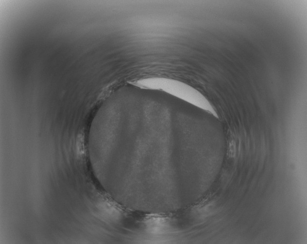 X0000064060620200602171738