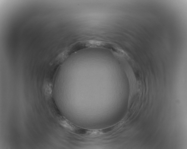 X0000064060621200602171738