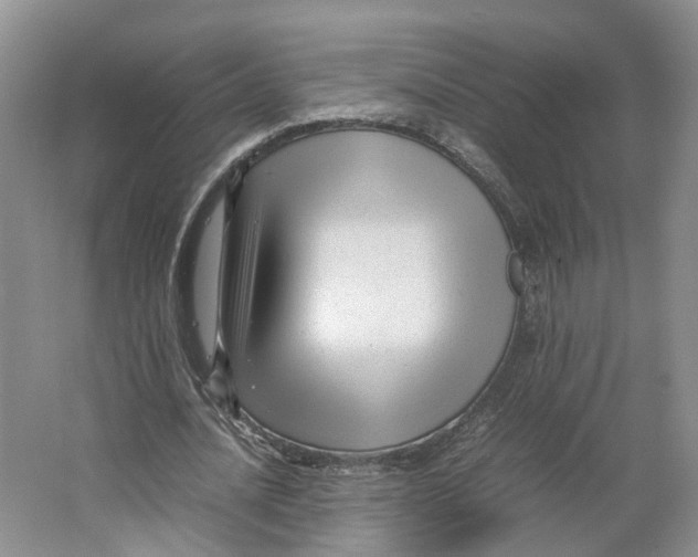 X0000064060628200602171737