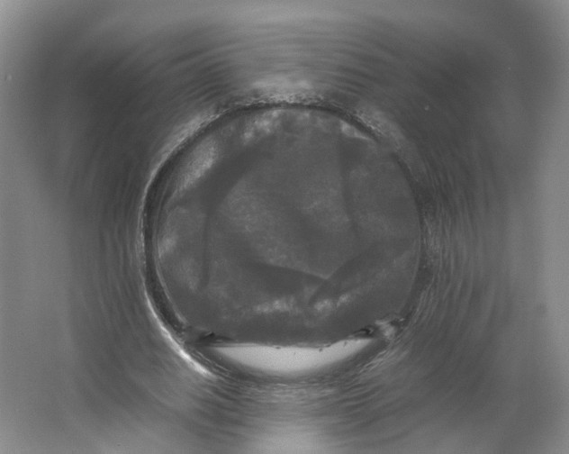 X0000064060630200602171737
