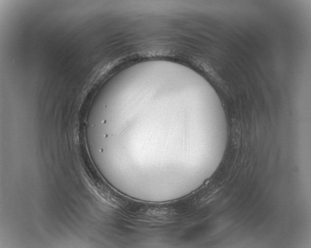 X0000064060631200602171737