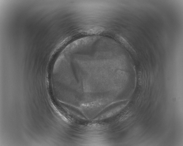 X0000064060634200602171738