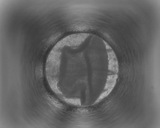 X0000064060640200602171738