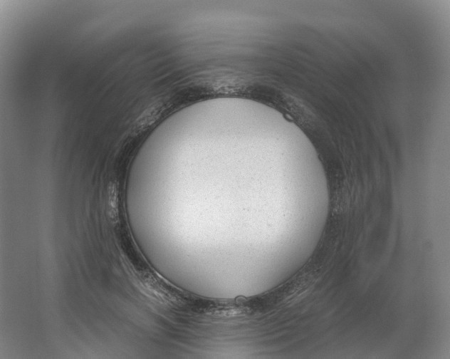 X0000064060646200602171738