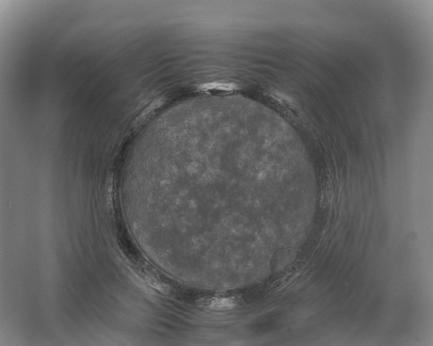 X0000064060647200602171738