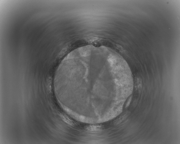 X0000064060664200602171738