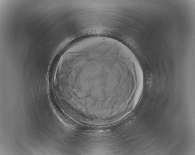 X0000064060678200602171737