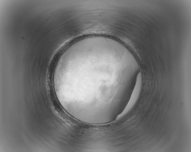 X0000064060680200602171737