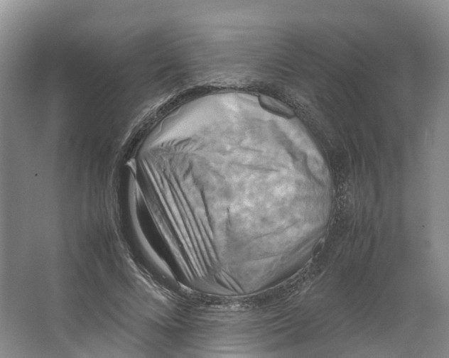X0000064060688200602171737
