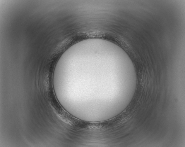 X0000064060690200602171737