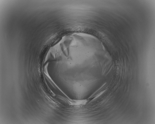 X0000064060692200602171737