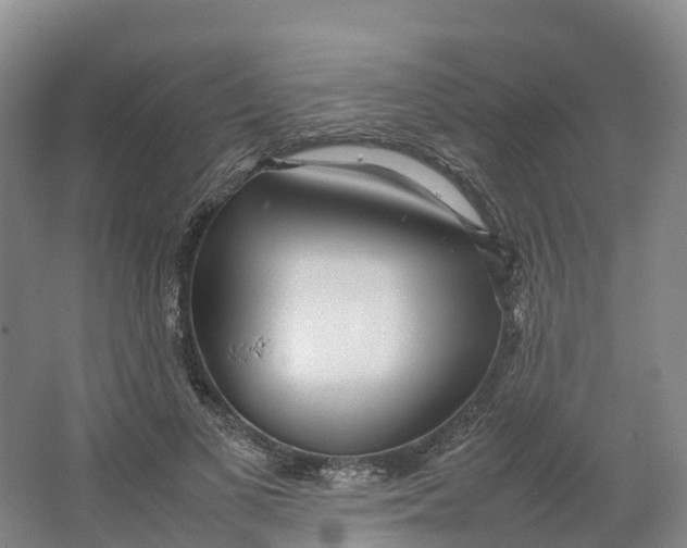 X0000064060693200602171737