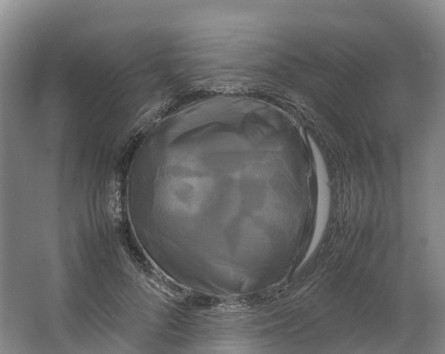 X0000064060696200602171737