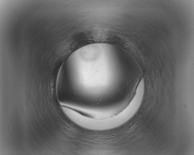 X0000064060697200602171737