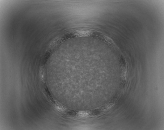 X0000064060701200602171737