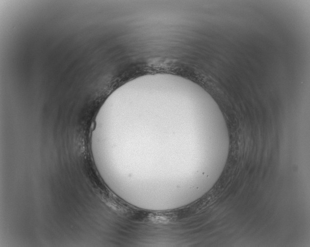 X0000064060706200602171737