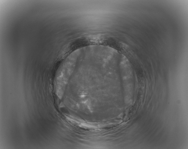 X0000064060707200602171737